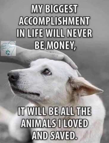 Agency Photo  (175005)