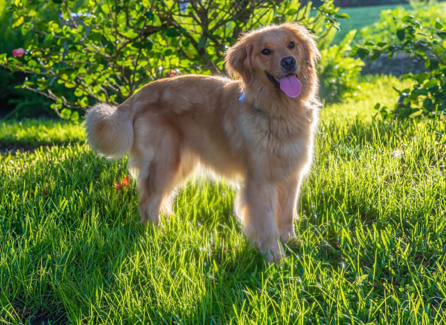 Agency Photo  (175008)