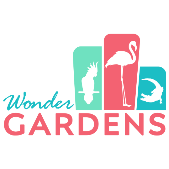 Agency Logo