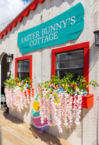 Program Photo  (187801)