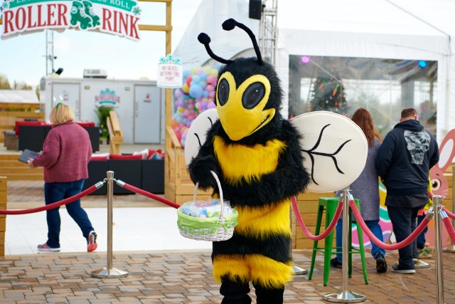 Program Photo  (187794)