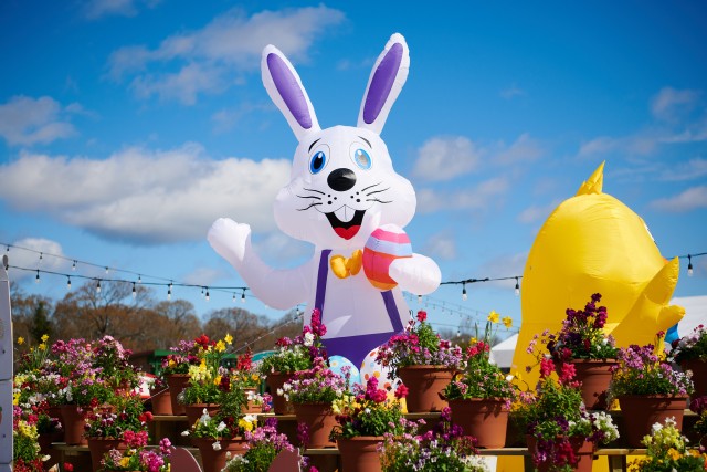 Program Photo  (187793)