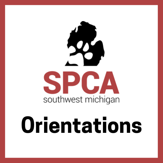 Program Logo