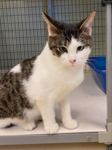 Program Photo  (185658)