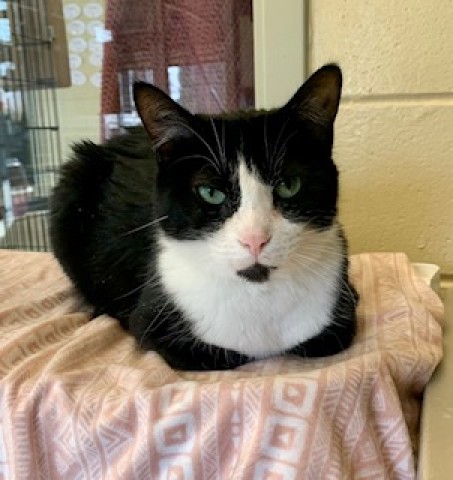 Program Photo  (185657)