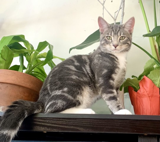 Program Photo  (185659)