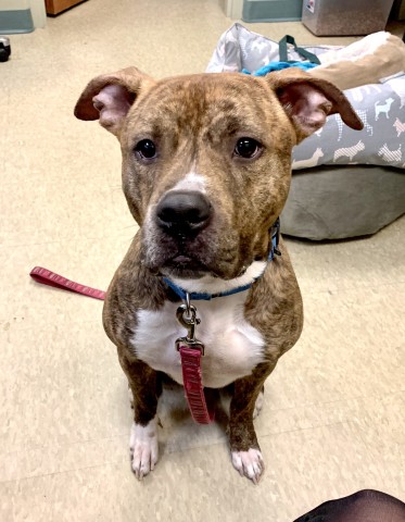 Program Photo  (185662)