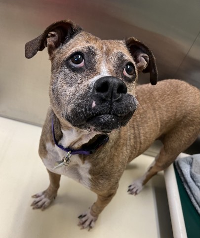 Program Photo  (185656)