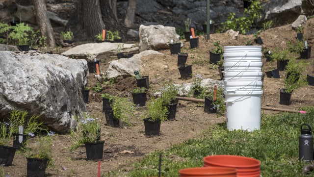 Program Photo  (194329)