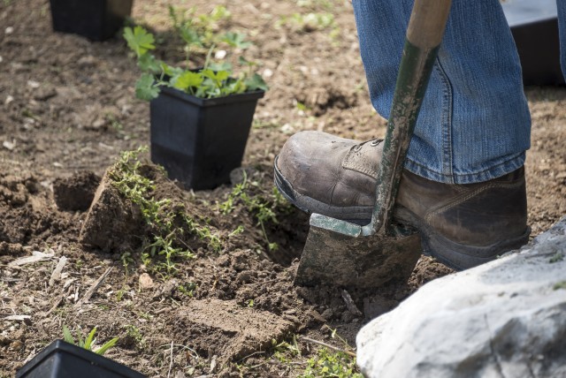 Program Photo  (194326)