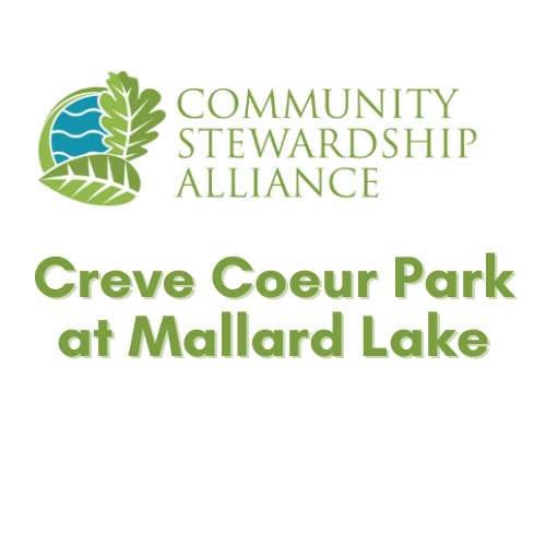 Program Logo
