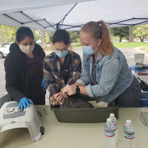 Agency Photo  (188645)