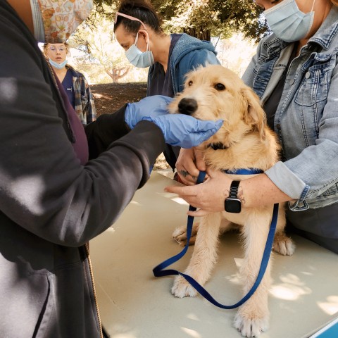 Agency Photo  (188641)