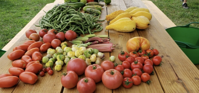 Agency Photo  (190053)