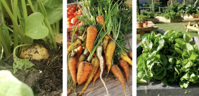 Agency Photo  (190055)