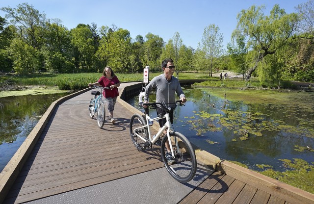 Agency Photo  (193037)