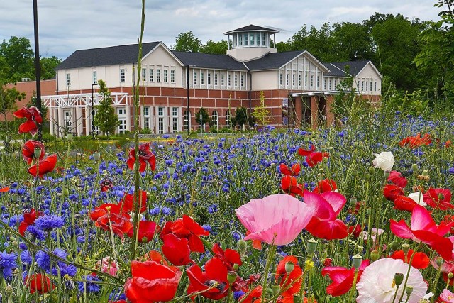 Agency Photo  (193027)