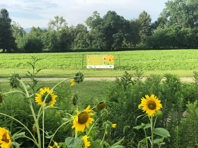 Agency Photo  (194192)