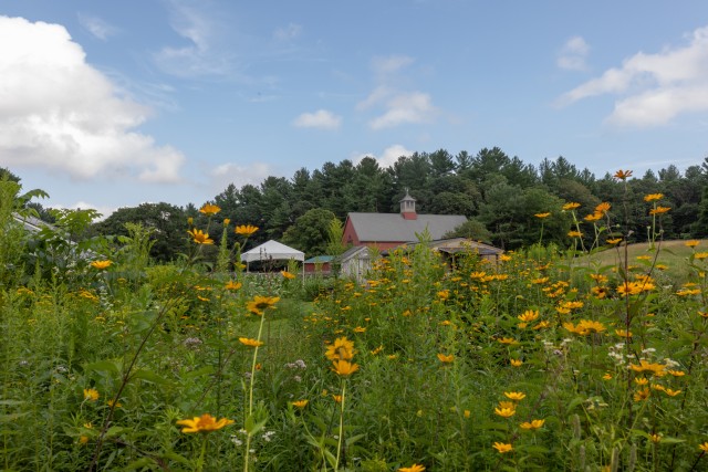 Place Photo  (192070)