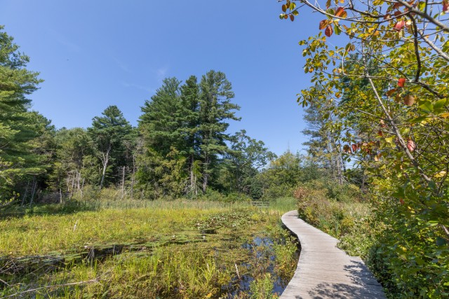 Place Photo  (192074)