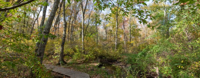 Place Photo  (192000)