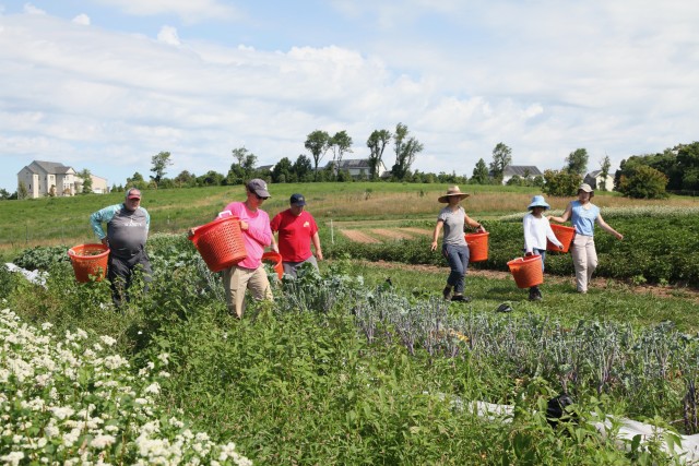 Agency Photo  (184390)