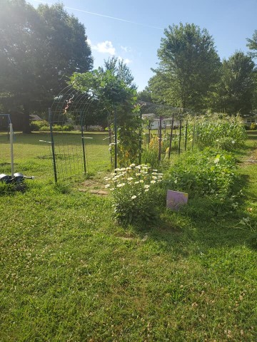 Nonprofit Photo  (186714)