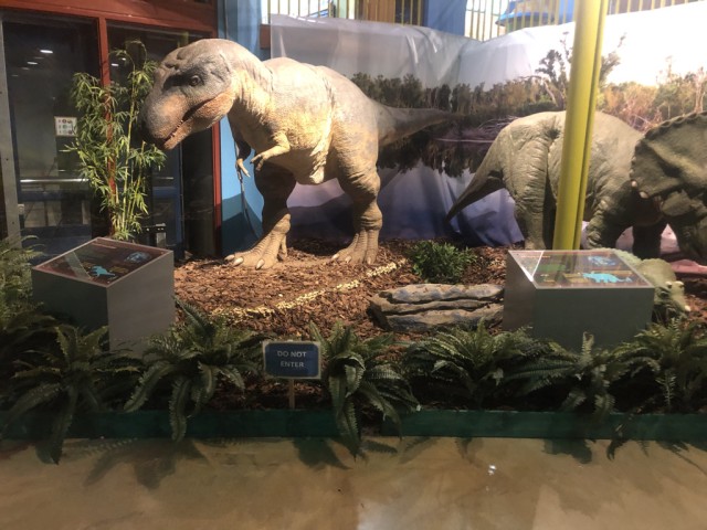 Nonprofit Photo  (186802)