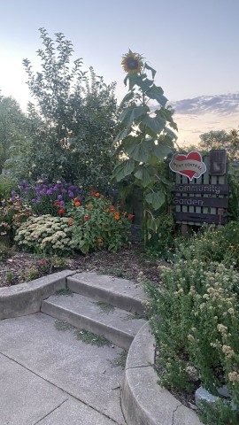 Nonprofit Photo  (207660)