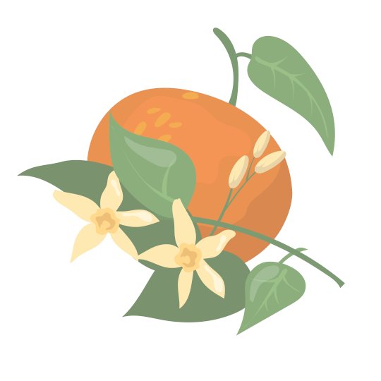 Program Logo