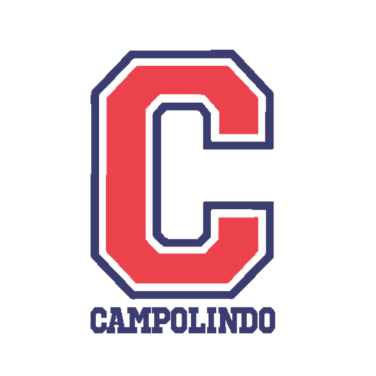 Program Logo