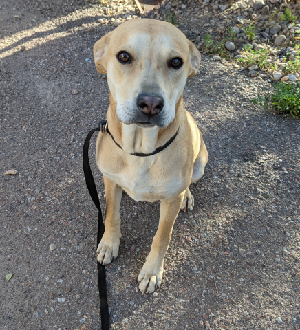 Agency Photo  (190495)