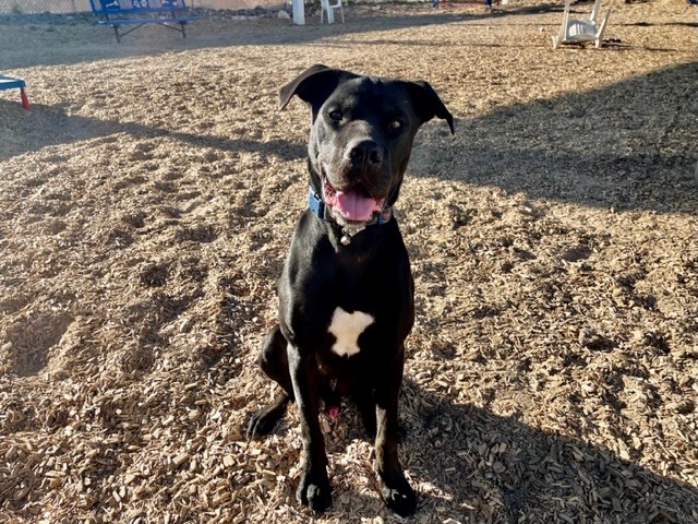 Agency Photo  (190496)