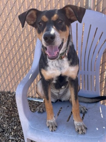 Agency Photo  (190497)