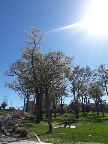 Agency Photo  (191490)