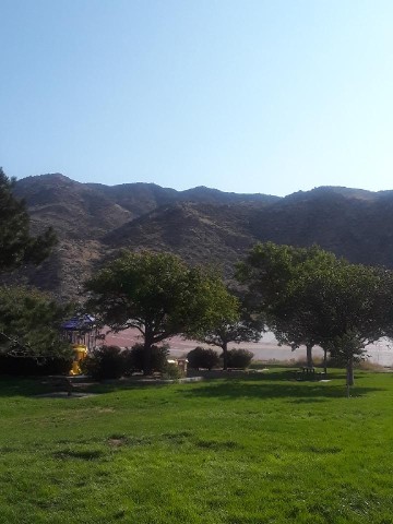 Agency Photo  (191491)