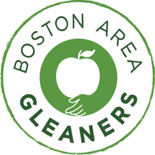 Agency Logo