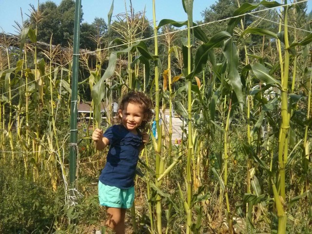 Agency Photo  (199799)