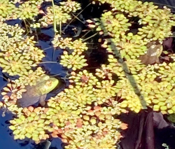 Agency Photo  (214266)