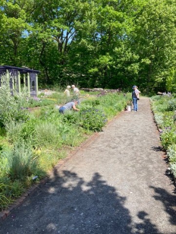 Agency Photo  (214271)