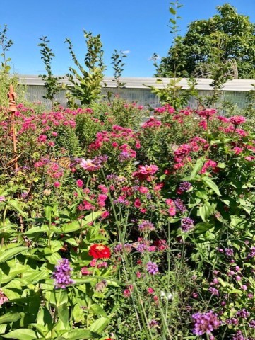 Agency Photo  (214269)