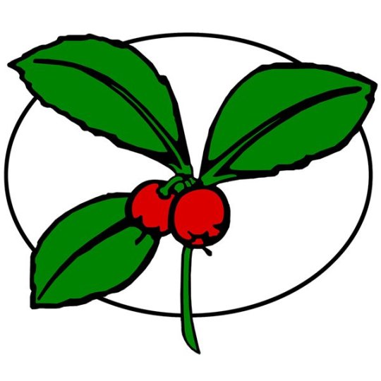 Agency Logo