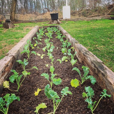 Organization Photo  (206892)