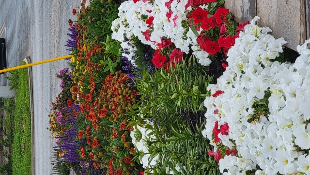 Organization Photo  (215176)