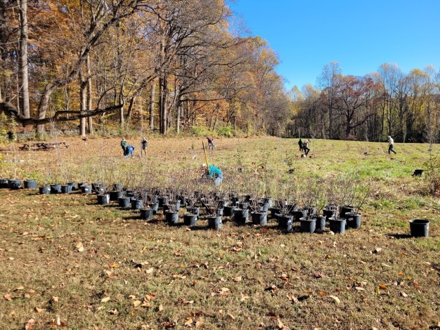 Program Photo  (205947)