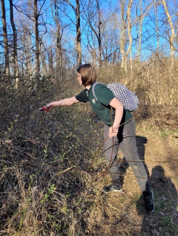 Program Photo  (205942)