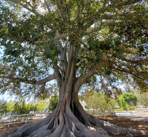 Program Photo  (200021)