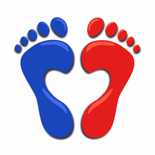 Program Logo