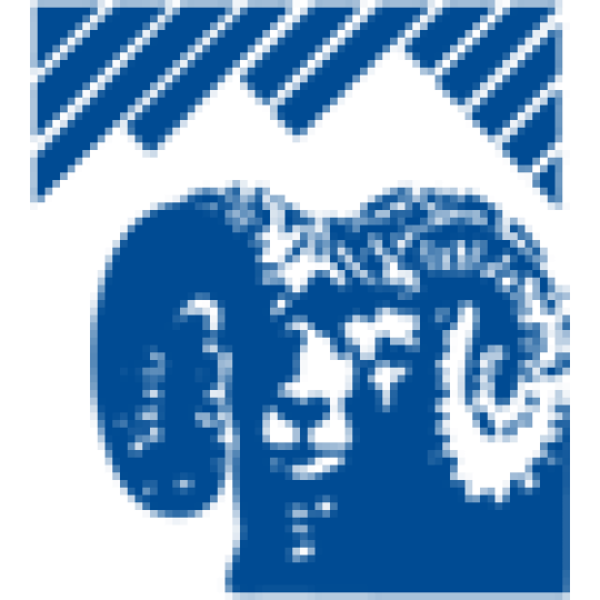 Program Logo