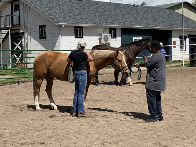 Program Photo  (213173)